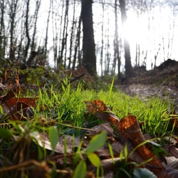 2016-12 France/Rumilly/DSC_0063.JPG